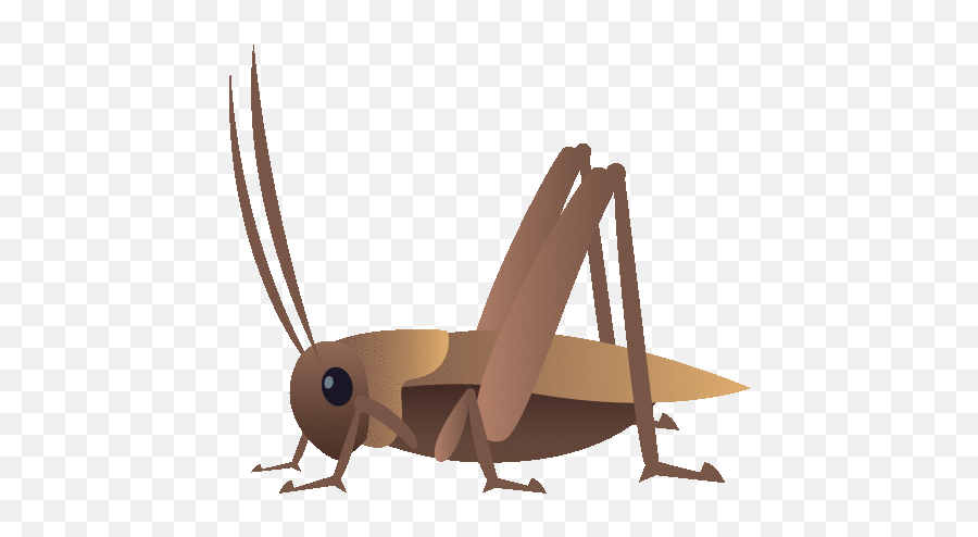 Cricket Nature Gif - Cricket Nature Joypixels Discover U0026 Share Gifs Insect Cricket Gif Clipart Emoji,Cricket Clipart