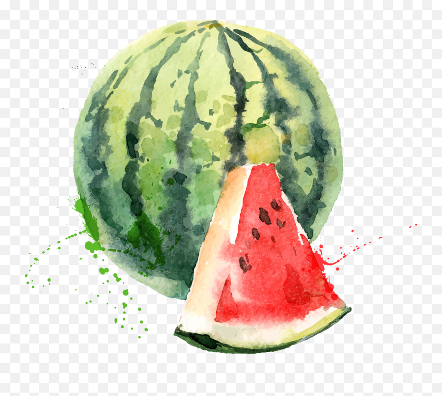 Download Watermelon Png Download Free - Fruit Watercolor Still Life Emoji,Watermelon Png