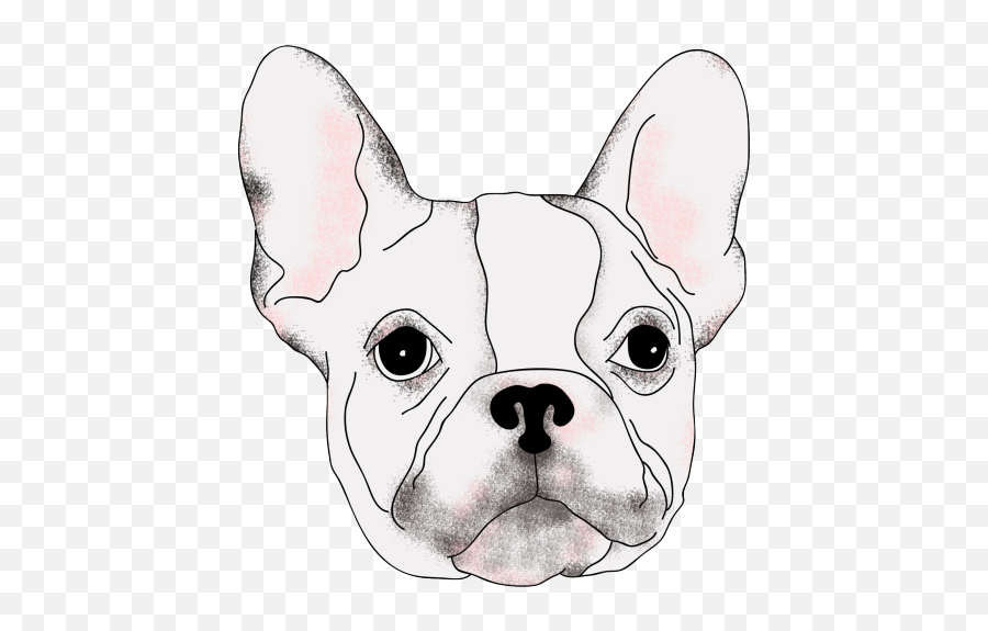 Download Drawing Bulldogs Realistic Emoji,French Bulldog Png