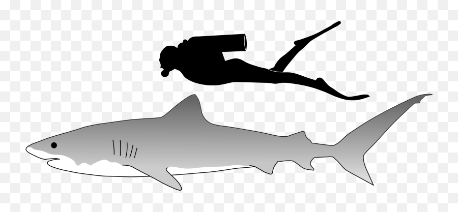 Sand Tiger Shark Silhouette Gif - Peepsburgh Emoji,Shark Head Clipart