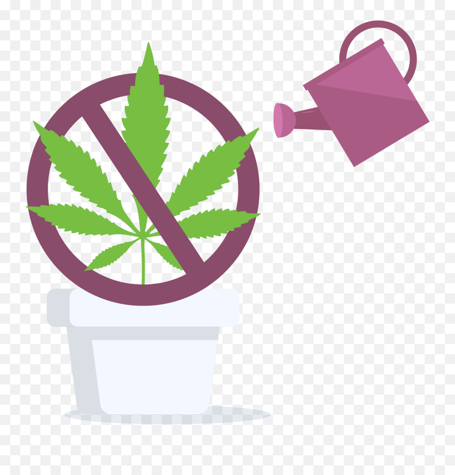 Cannabis Home Grow Is Prohibited In Quebec Canada - Language Emoji,Marijuana Clipart