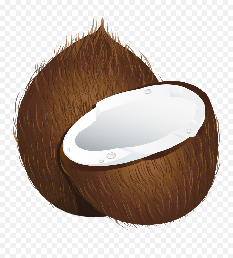 Free Coconut Clipart Png Download Free - Portable Network Graphics Emoji,Coconut Clipart