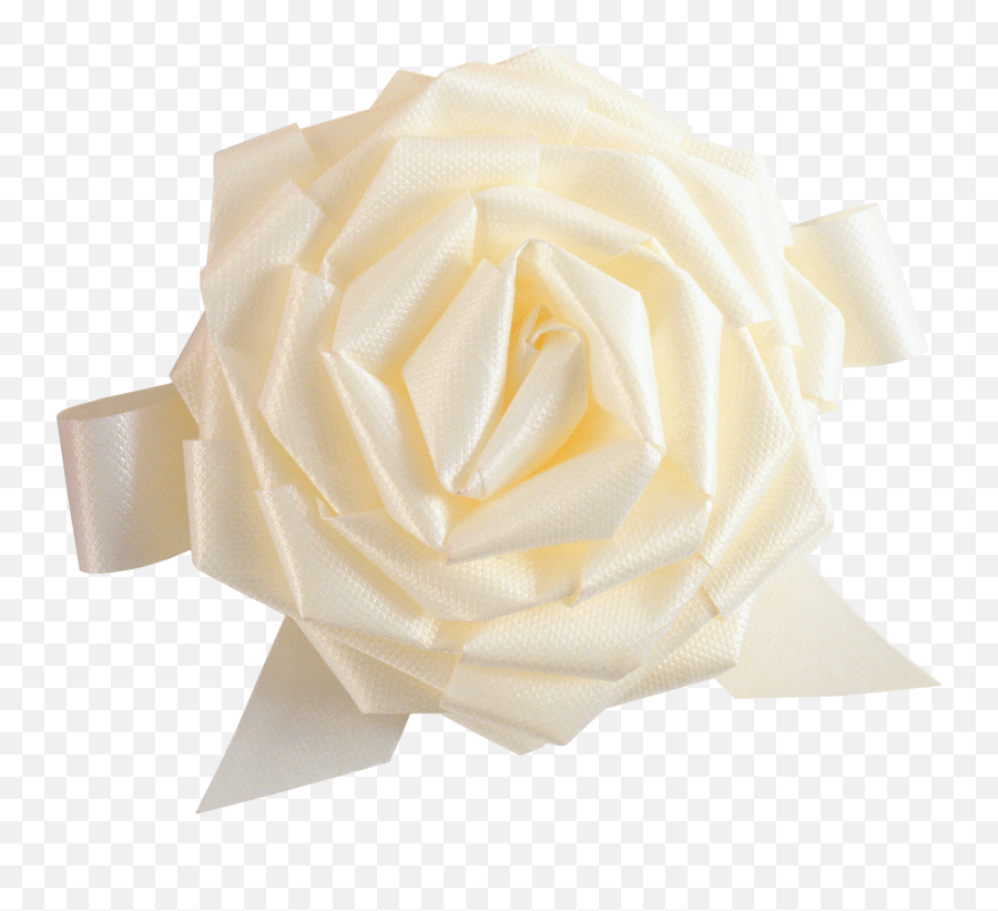 White Rose Png Image Hd - Garden Roses Emoji,White Rose Png