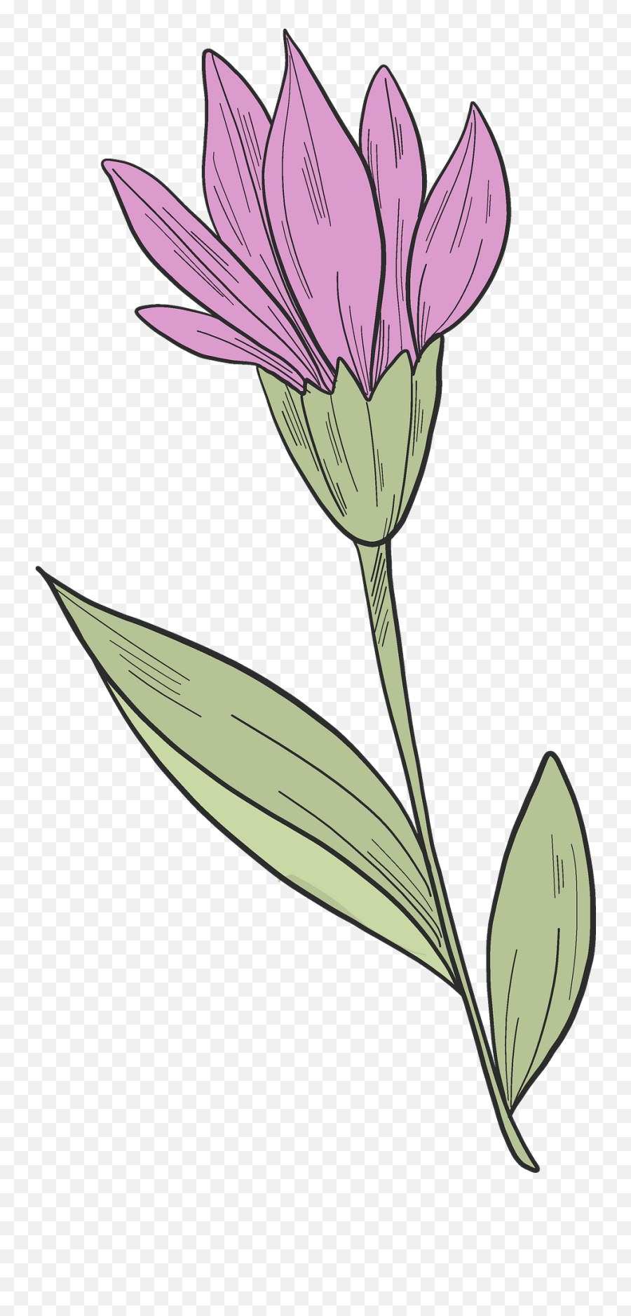 Wildflower Clipart - Gentian Emoji,Wildflower Clipart