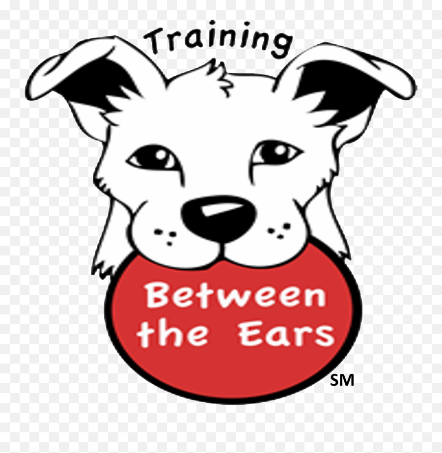 Tbte U2013 Mark Mccabe - Dog Training U0026 Behavior Specialist Dog Training Between The Ears Emoji,Training Clipart