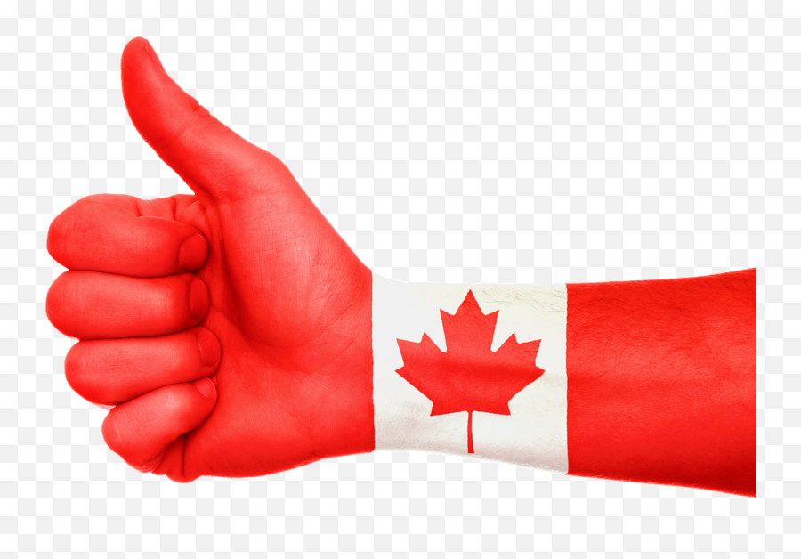 Illegal Immigrants Face Stark Choices - Canada Flag Hand Png Emoji,Canada Png