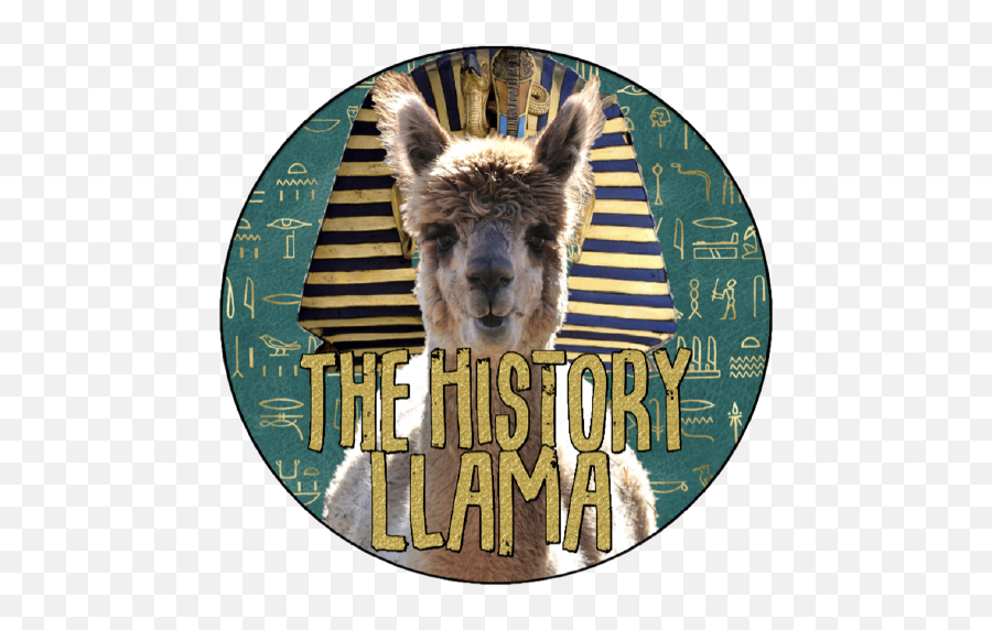 Becky Buhrke History Llama Emoji,Llama Face Clipart