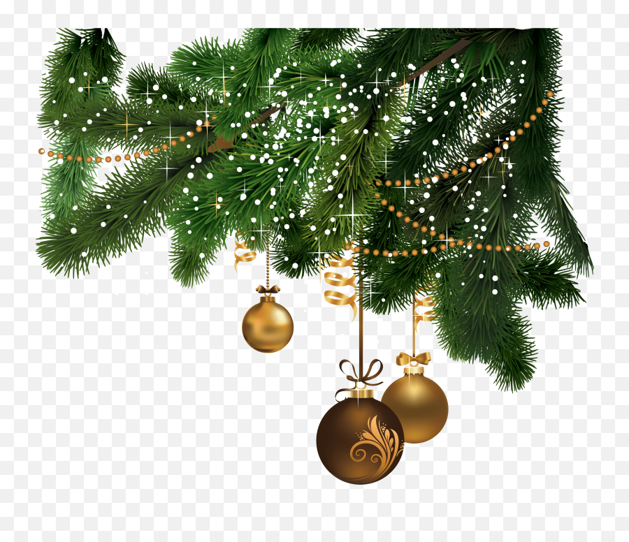 Download Christmas Fir - Christmas Transparent Background Emoji,Christmas Tree Png