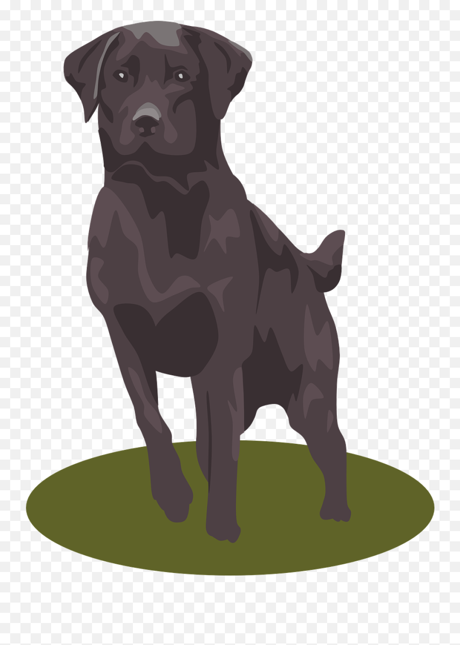 Download Free Photo Of Labradorretrievermammalanimalpet Emoji,Dog Silhouette Transparent Background