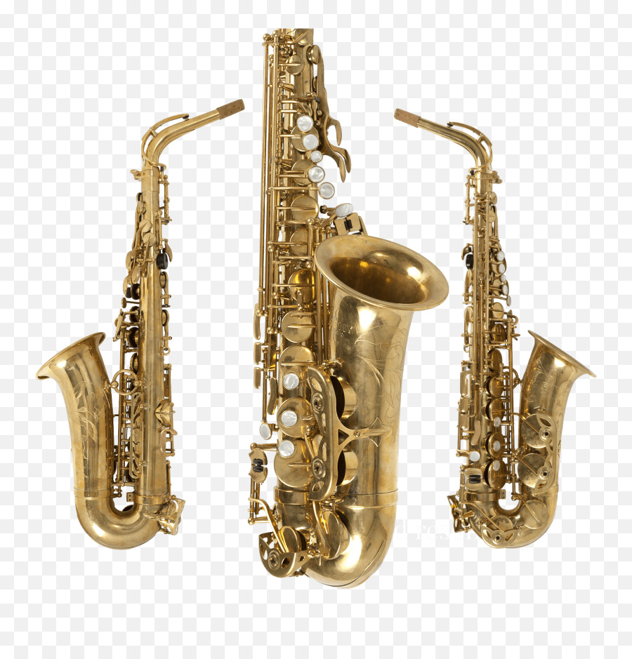 Remy Saxophones Emoji,Saxaphone Png