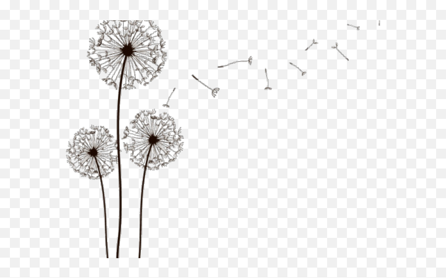 Dandelion Clipart Pinterest - High Resolution Dandelion Silhouette Emoji,Dandelion Clipart
