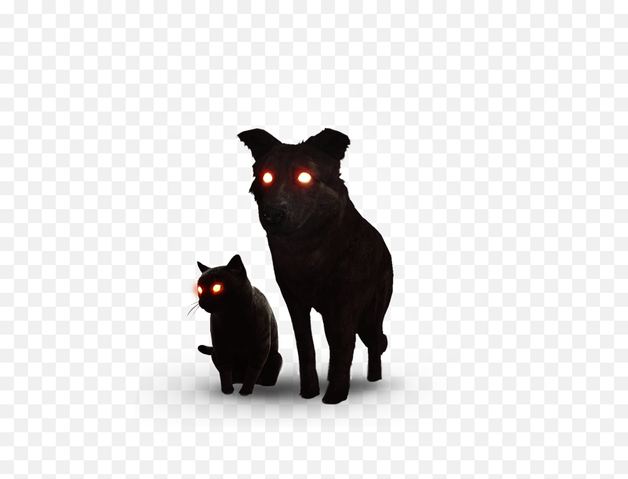 Sith Blackcat Cat Evil Mist Blackdog Dog Pet - Black Emoji,Cat And Dog Clipart Black And White