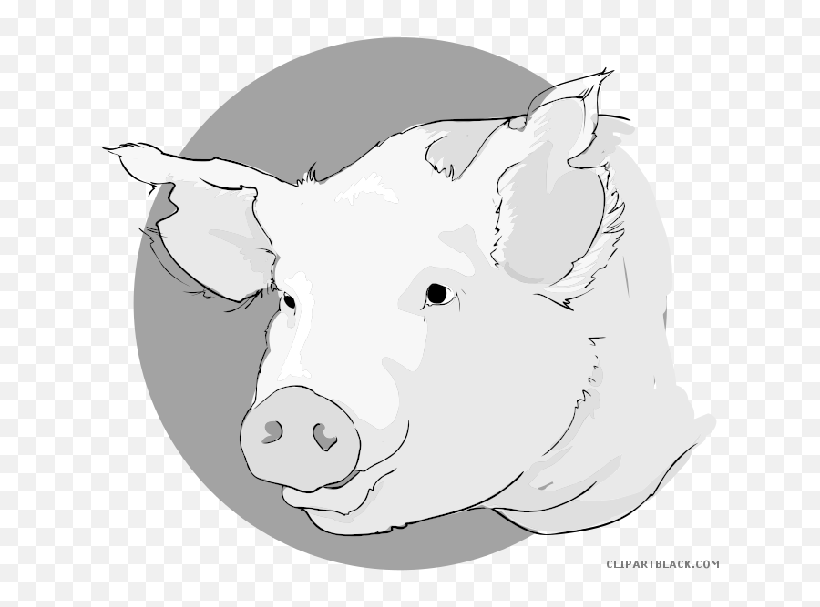 Head Clipart Pig Head Pig Transparent Free For Download On - Domestic Pig Emoji,Pig Clipart Black And White