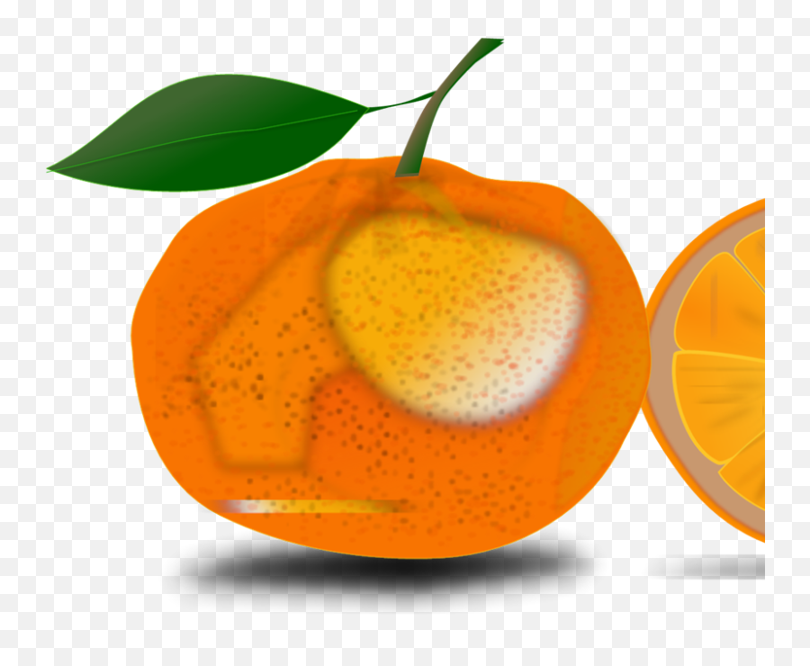 Slice Of An Orange Svg Vector Slice Of An Orange Clip Art - Orange Emoji,Orange Clipart