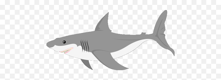 Image Result For Animated Gray Fish Gif - Animated Transparent Background Shark Gif Emoji,Shark Transparent Background