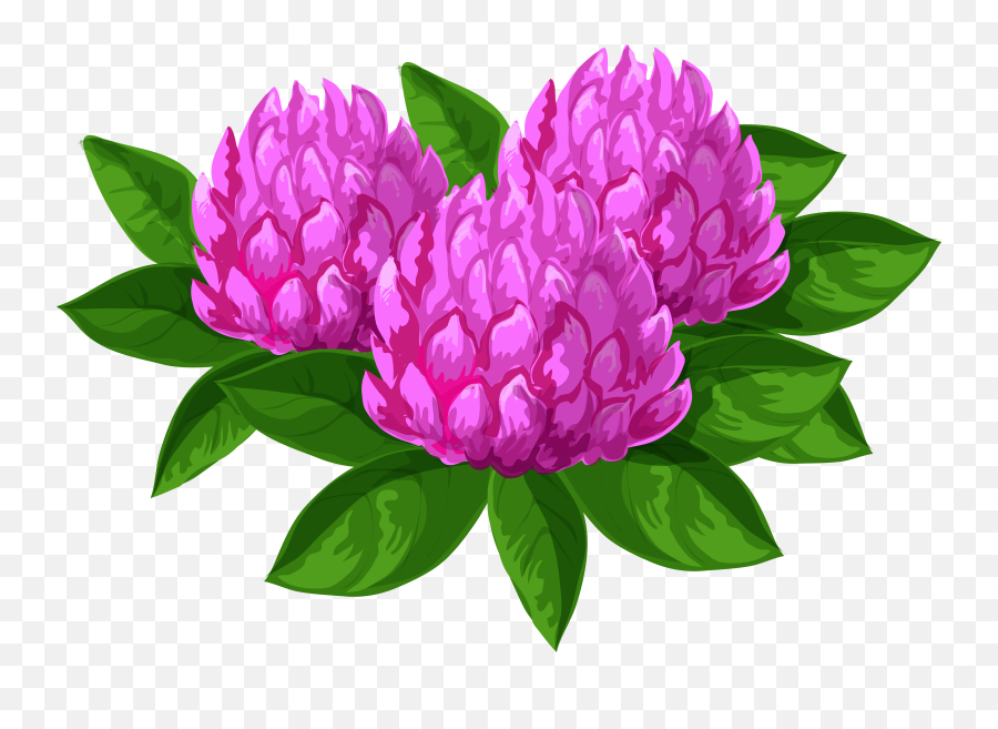 Wild Flowers Png Clip Art Imageu200b Gallery Yopriceville - Red Clover Emoji,Peony Clipart