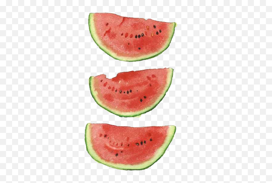 Watermelon Watercolor Png Transparent - Superfood Emoji,Watermelon Png