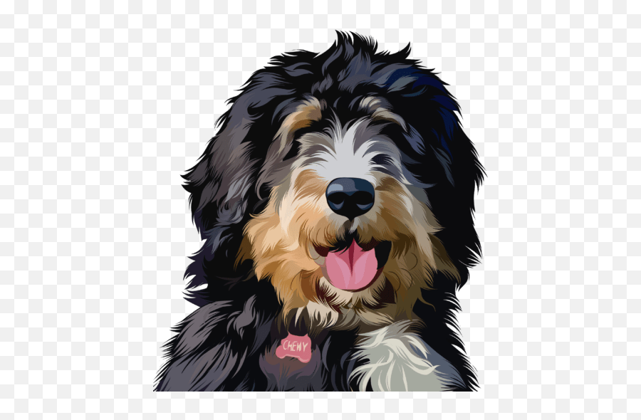 Chewy U2013 The Bernedoodle U2013 A Guide Help For Your Bernedoodle Emoji,Dog Agility Clipart