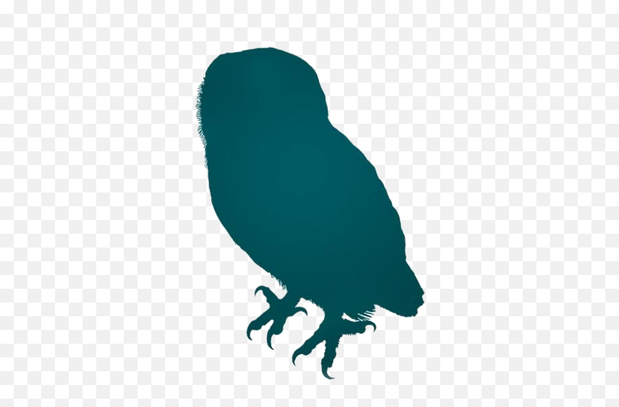 Transparent Barn Owl Clipart Barn Owl - Passerine Emoji,Owl Clipart