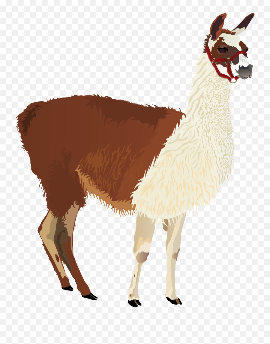 Llama Clip Art - Alpaca Png Download 19772313 Free Clipart Alpaca Png Emoji,Cute Llama Clipart