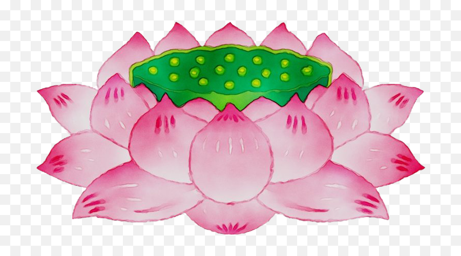 Lotus Png Transparent Images Png All - Lotus Images Hd Png Emoji,May Flowers Clipart