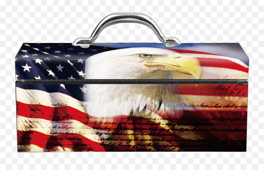 American Flag Eagle Portrat Steel Box U2013 Charlotte Tools Emoji,America Flag Png