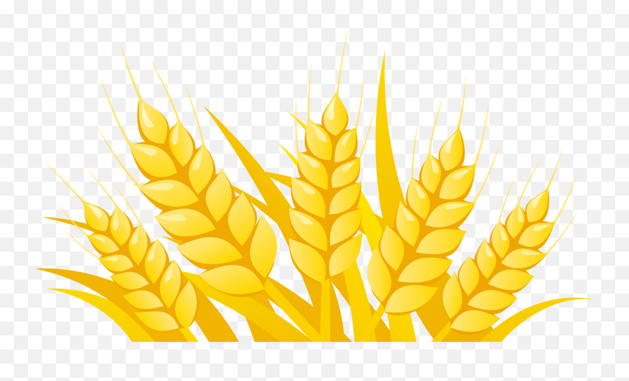 Vector Wheat Png Png Image With No - Wheat Food Vector Png Emoji,Wheat Clipart