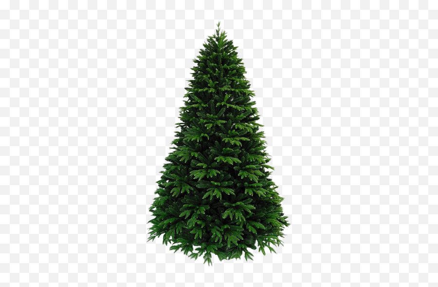 Artificial Christmas Tree Png Free - Douglas Fir Christmas Tree Emoji,Christmas Tree Png