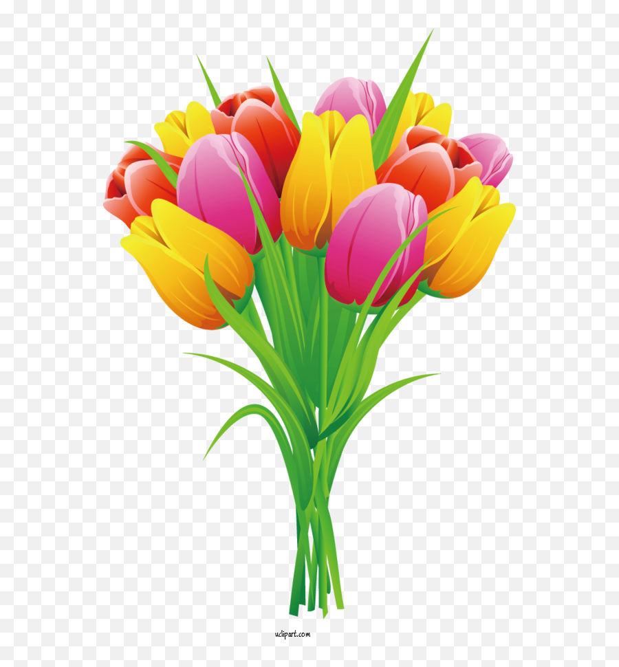 Flowers Tulip Flower Lily For Tulip - Tulip Clipart Flowers Emoji,Lilies Clipart