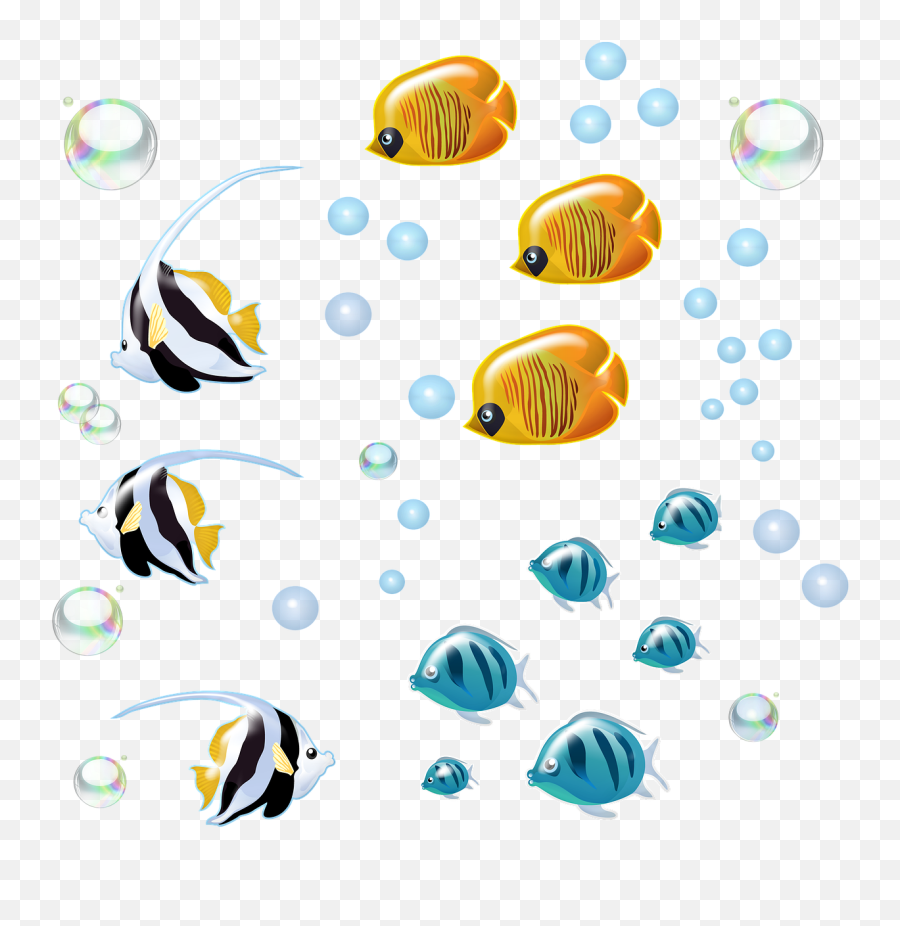 Free Photo Fish Swimming Underwater - Underwater Fishes Png Emoji,Underwater Bubbles Png