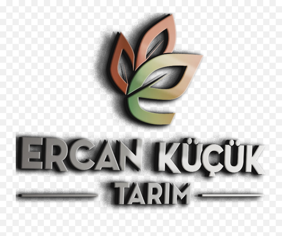 Aws Certified Cloud Practitioner U2013 Ercan Küçük Tarm Emoji,Aws Certified Logo