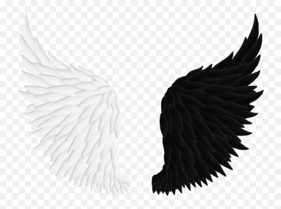 Angel Wings Png Transparent Image - Png Transparent Devil Wings Emoji,Angel Wings Png