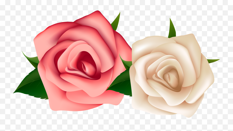 Red Roses - White And Pink Roses Transparent Emoji,White Rose Png