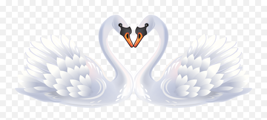 Download Valentine Swans Png Clipart - Love Transparent Background Swan Transparent Emoji,Swan Clipart