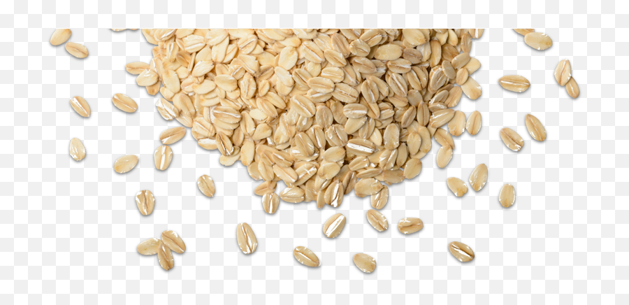 Picture Grain Png - Pile Of Grains Png Emoji,Grain Png