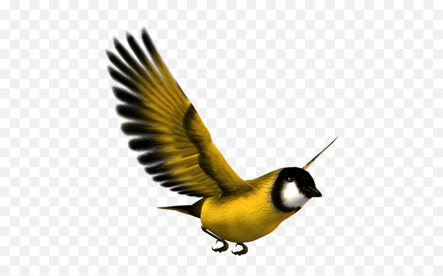 Bird Flight Bird Flight Eurasian Magpie Yellow - Yellow Bird Flying Yellow Bird Png Emoji,Bird Png