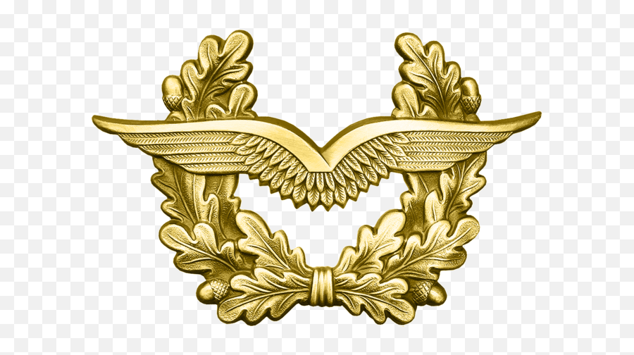Bw Schirmmütze Luftwaffe Gold - German Airforce Eagle Png Emoji,Gold Png