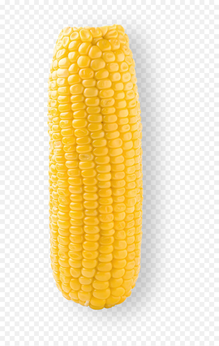 Download Sweet Corn - Corn On A Cob Png Emoji,Corn Png