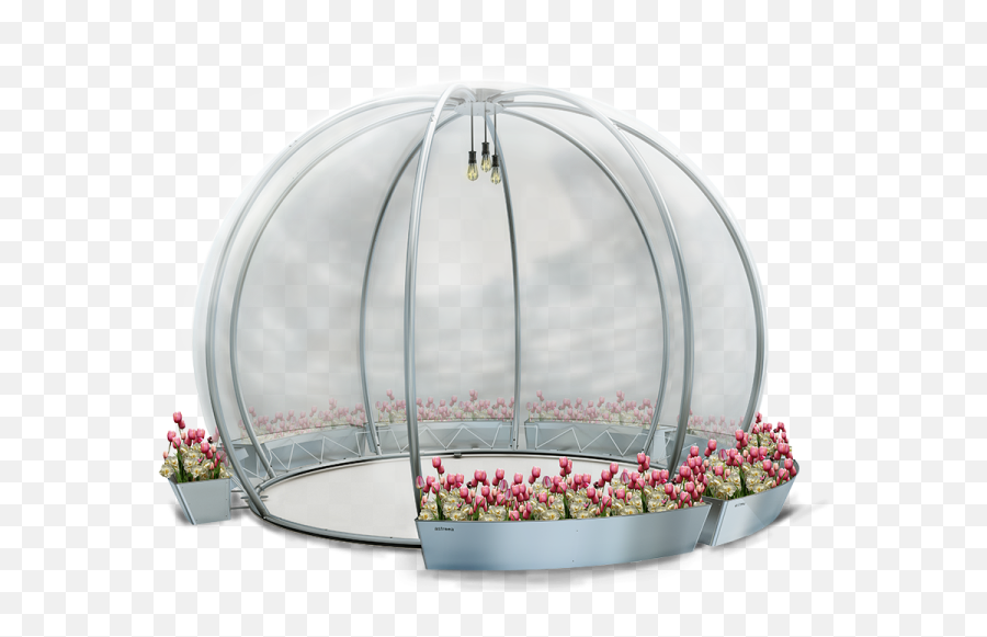 Rent A Dome Jetera Collections - Dome Emoji,Igloo Png