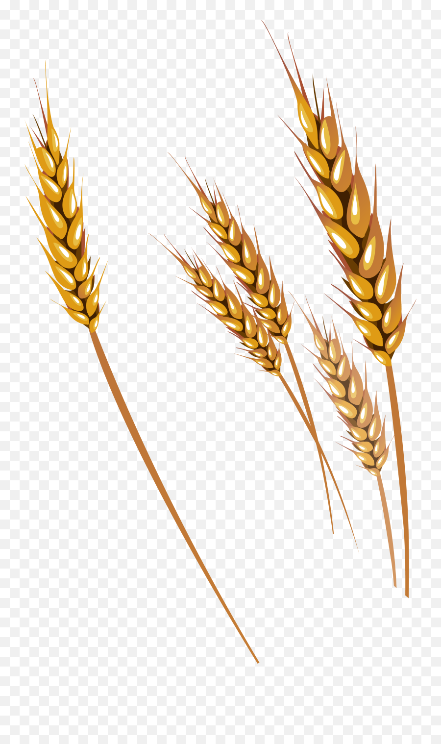 Wheat Png Alpha Channel Clipart Images - Transparent Transparent Background Wheat Emoji,Wheat Clipart