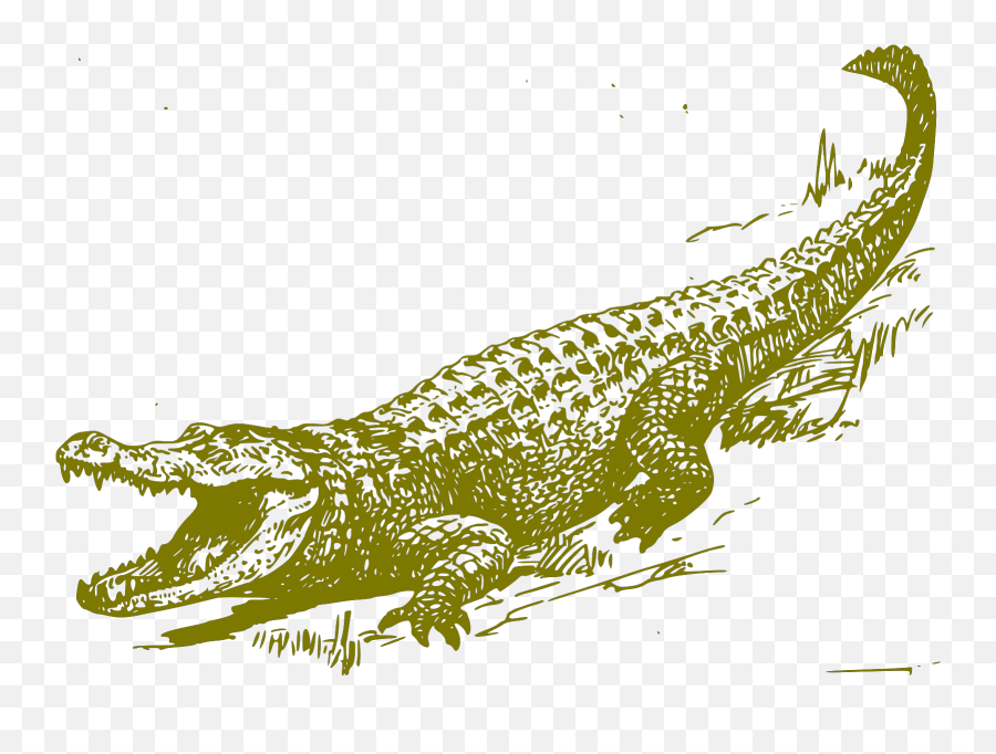 Citrus Alligator Svg Vector Citrus Alligator Clip Art - Svg Clipart Emoji,Citrus Clipart