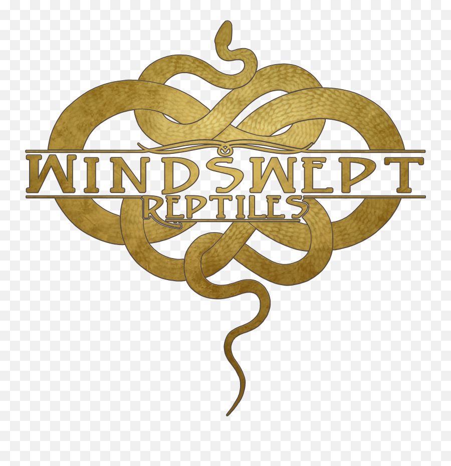 Windswept Reptiles Logo Alison Parks - Tierarzt Emoji,Artstation Logo