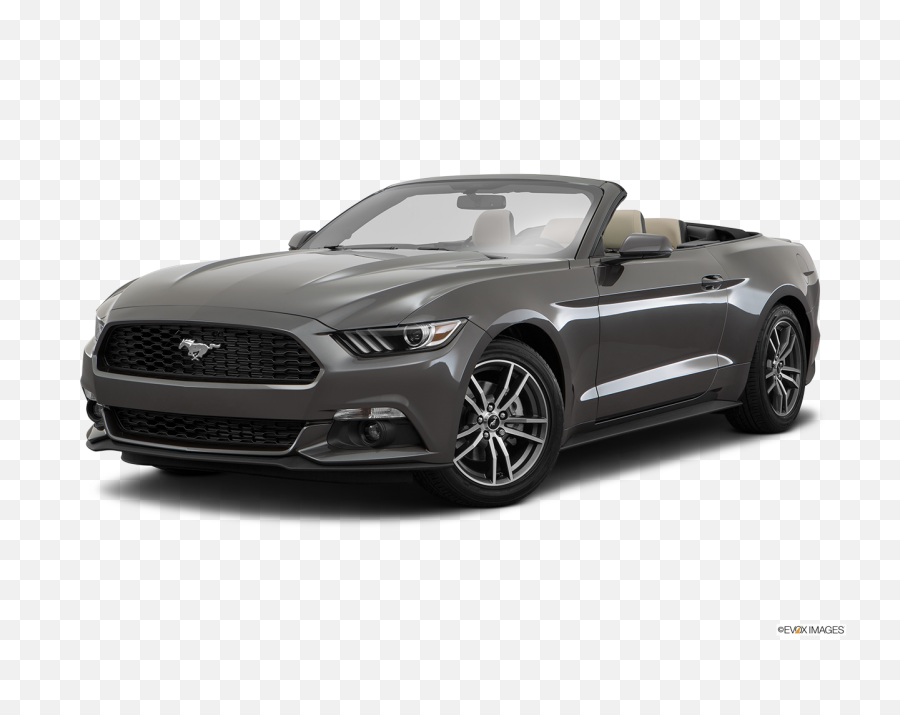 Muscle Mustangs Transparent U0026 Png Clipar 1811831 - Png Convertible Car Rental Aruba Emoji,Mustang Clipart