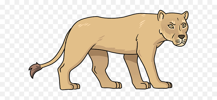 How To Draw A Lioness - Really Easy Drawing Tutorial Simple Lioness Drawing Emoji,Lioness Png