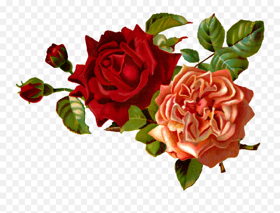 Red Flower Clipart Vintage Red - Transparent Vintage Rose Clipart Emoji,Red Flower Png