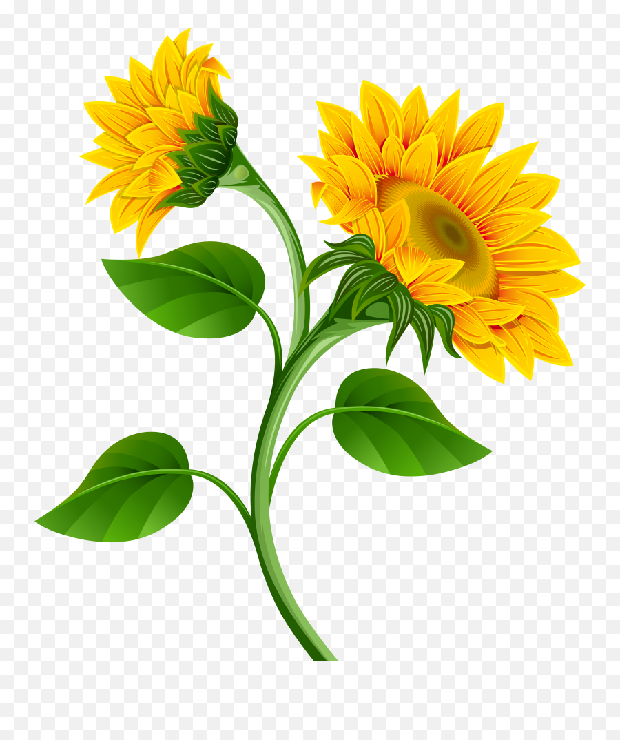 Sunflower Clipart Png Images With - Sunflower Clipart Transparent Png Emoji,Sunflower Clipart