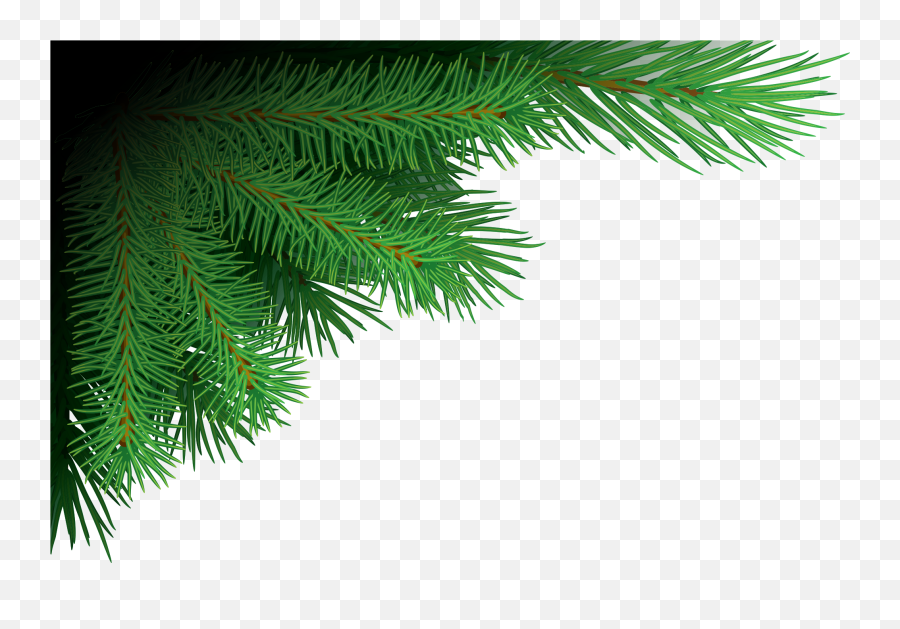 Xmas Tree Branches Png Image - Png Format Christmas Tree Png Emoji,Christmas Tree Png