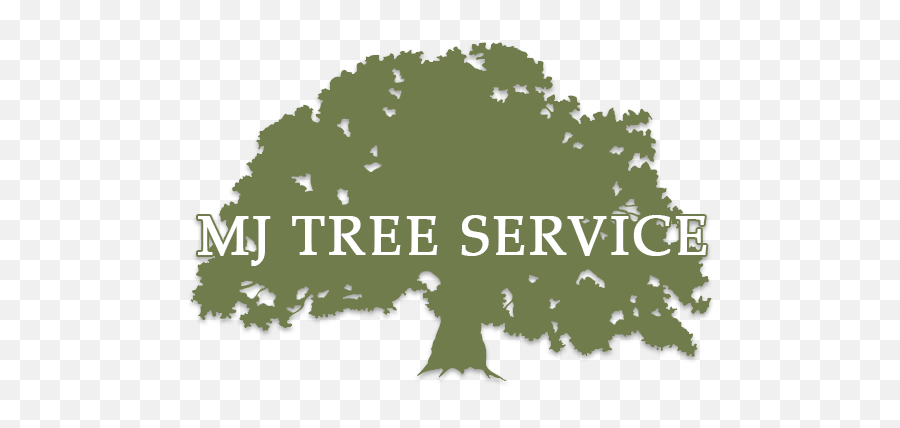 Mj Tree Service Is Hiring Eastlake Tree Removal Company - Roots And Wings Certificate Emoji,Mj Logo