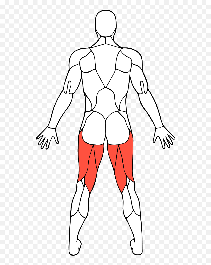 Master Your Muscles The Best Targeting U0026 Core Exercises - Standing Emoji,Muscles Clipart