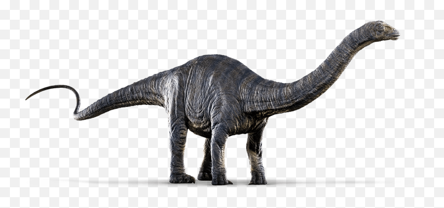 Apatosaurus - Apatosaurus Png Emoji,Jurassic World Clipart